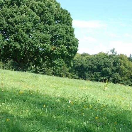 Maison Charmante A Avec Jardin *